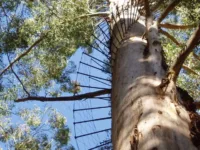 ph_activities_002 ph_activities_002