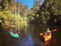 ph_activities_003 ph_activities_003