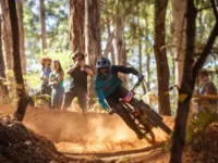 Mountain bike Mountain bike