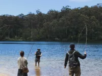 17add34c-b12b-4a7f-82d1-a772ef4c4c6b 17add34c-b12b-4a7f-82d1-a772ef4c4c6b